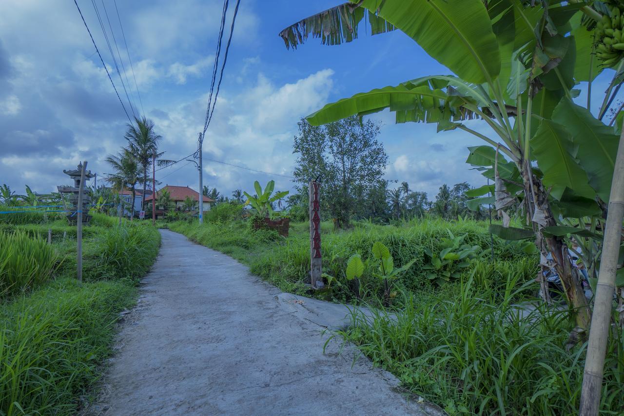 Vinayaka Ubud 외부 사진